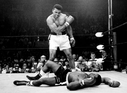 Heavyweight champion Muhammad Ali stands over fallen challenger Sonny Liston, after dropping Liston with a short hard right to the jaw in Lewiston, Maine.