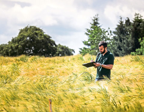 The James Hutton Institute is at the forefront of researching different crops and effect on the environment.