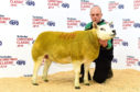 The Texel champion from Graham Morrison sold for 4000gns