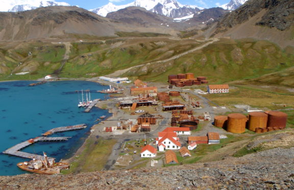 Grytviken.