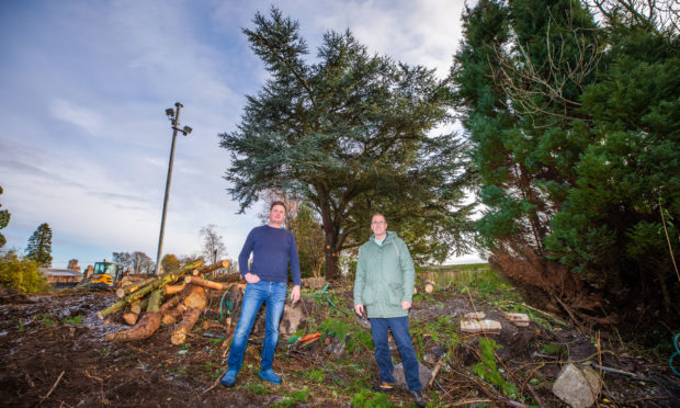 Some younger trees have already been felled at the Crieff development.