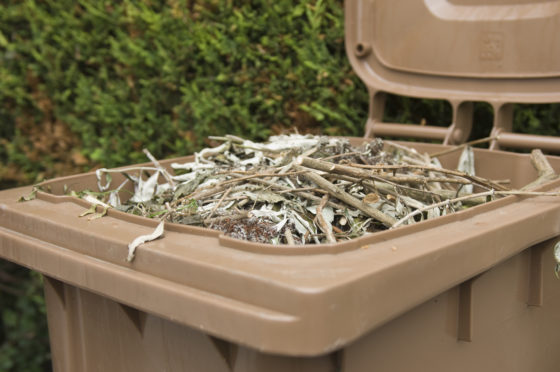 Brown wheelie bin used to dispose garden waste.