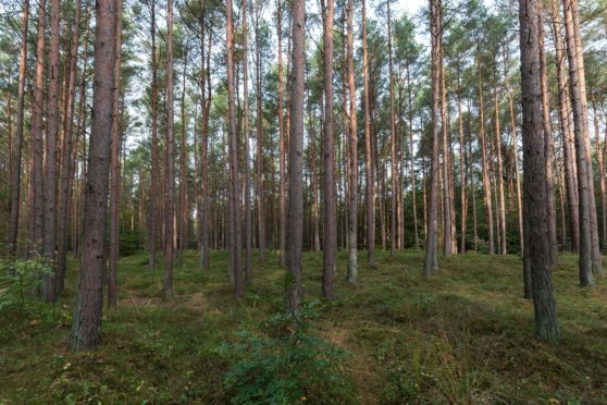 The family-owned arable farm includes 18 hectares of woodland.