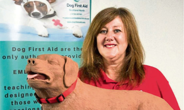 Catherine Pillips will be offering dog first aid courses in Courier Country.