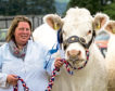Tracey Nicol will judge the beef young handler competition.
