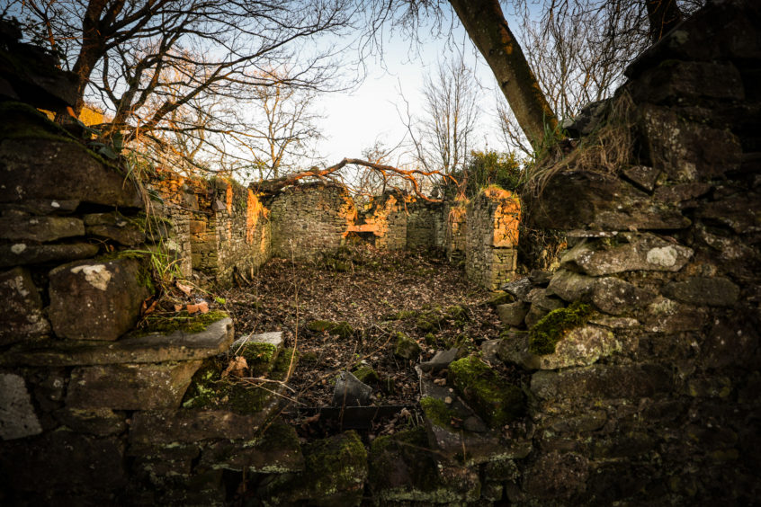 The remnants of the home thought to be the old Gillies house in Pitmiddle.