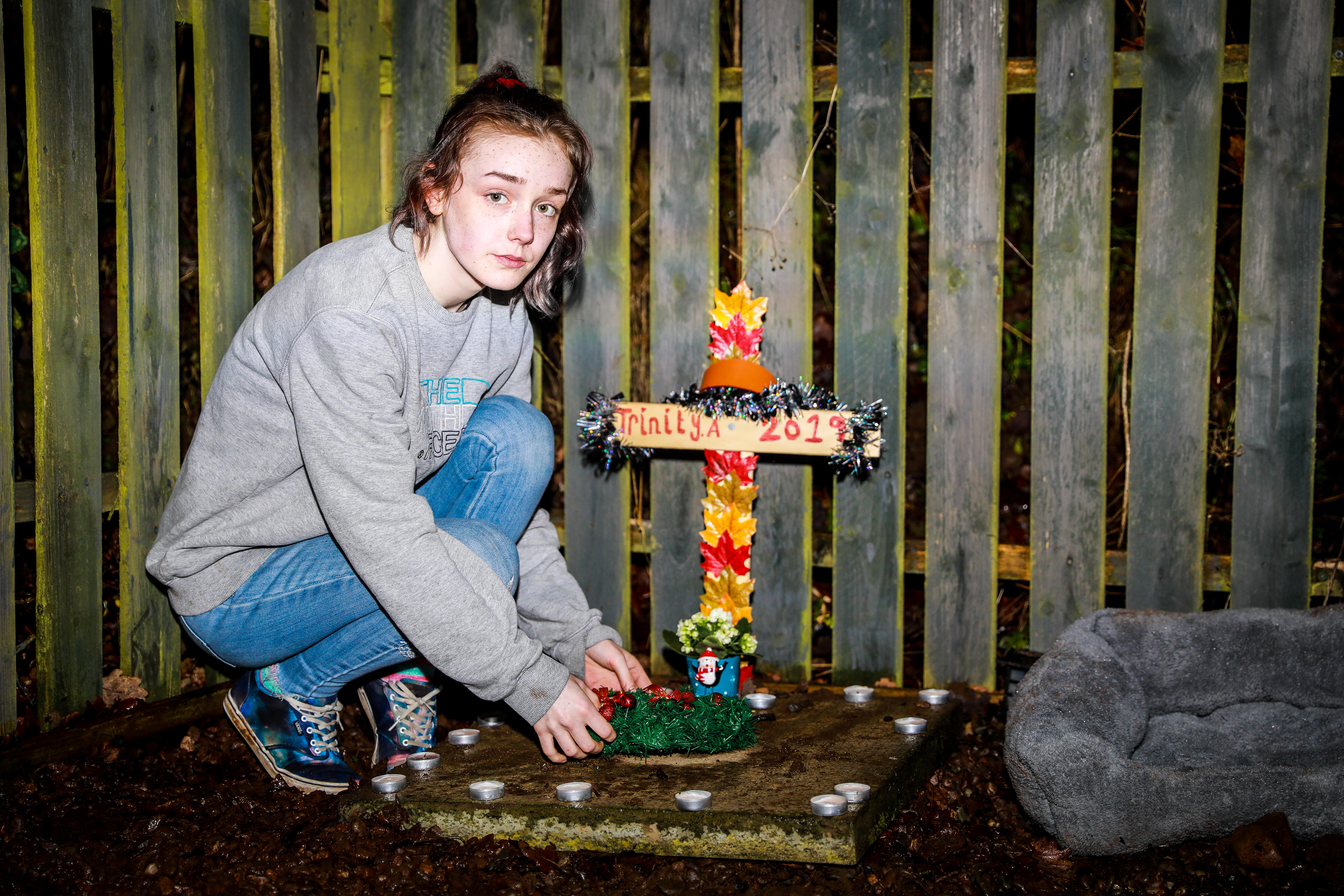 Jemma hunter (19) tends to the grave of her puppy 'Trinity' after she was knocked down and killed by a speeding driver outside her home