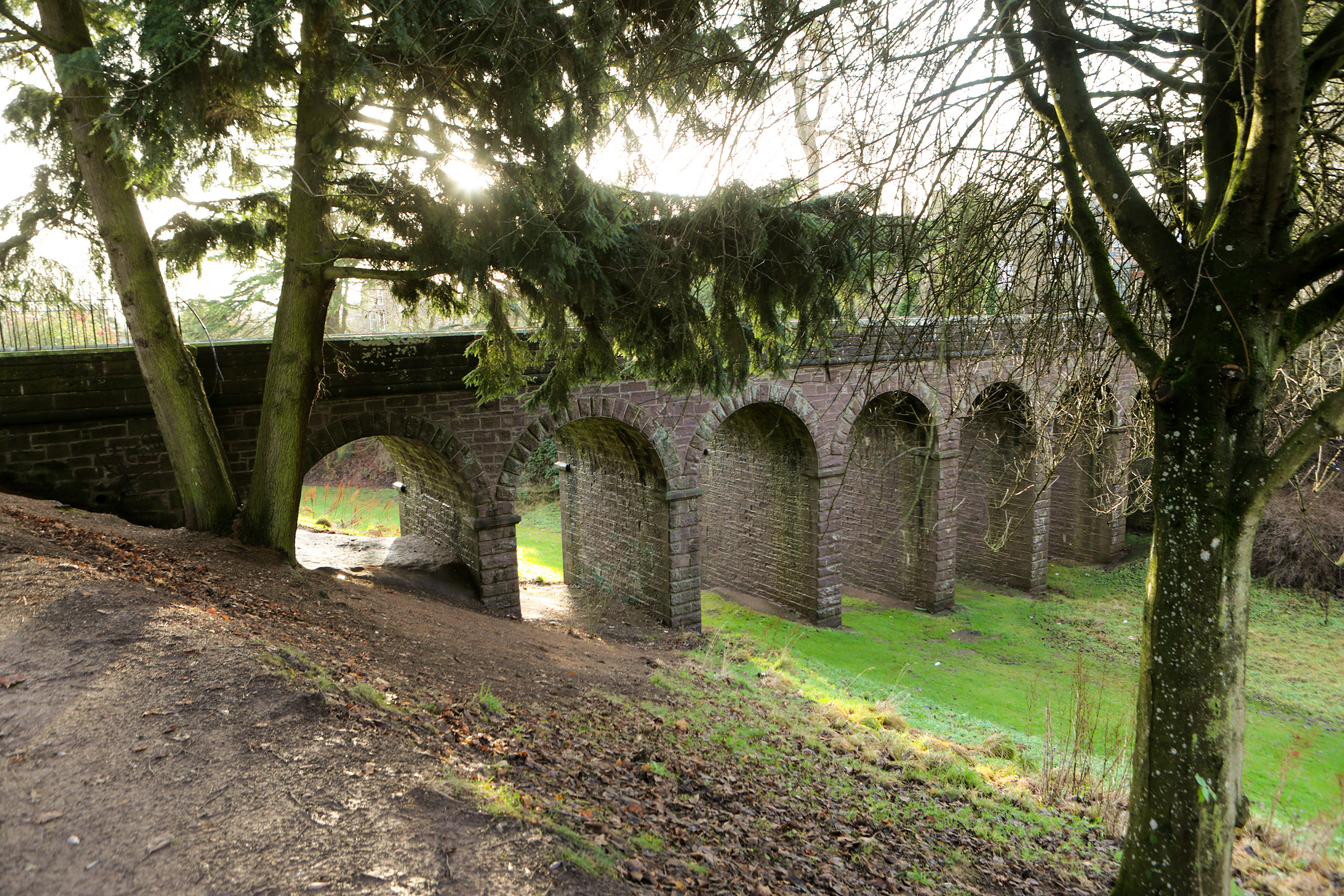 Brechin Den is in line for improvement works.