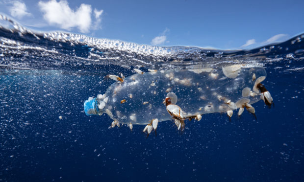 Marine plastic pollution.