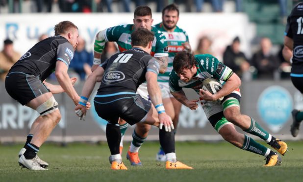 Tom Gordon and Pete Horne were part of Glasgow's superb defensive effort in Treviso.