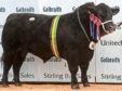 : Intermediate and overall champion McCornick Pathfinder, from Boreland, Kirkcowan, Newton Stewart;