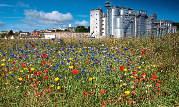 Carr's Flour Mill, Kirkcaldy