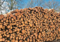 Timber will be bought from sustainable Scottish forests and turned into wood chip on East Balmirmer farm.
