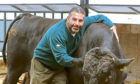 Mohsin Al-Tajir with Thor the bull, in Blackford, Scotland.