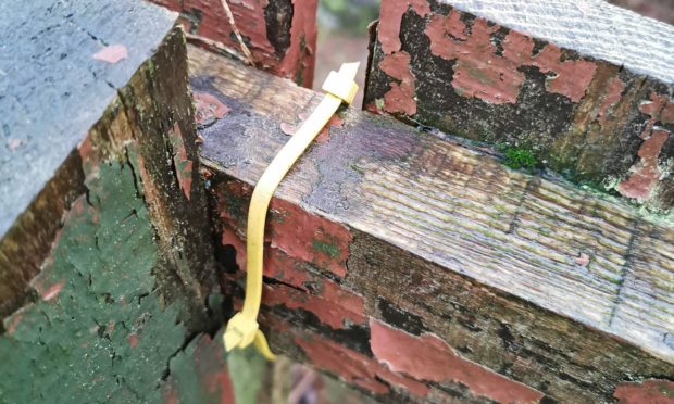 The cable tie which was attached to the gate in Glenrothes earlier this week.