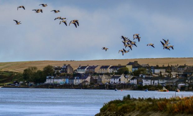 Ferryden.