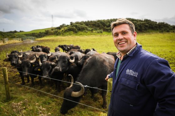 Steve Mitchell of the Buffalo Farm.