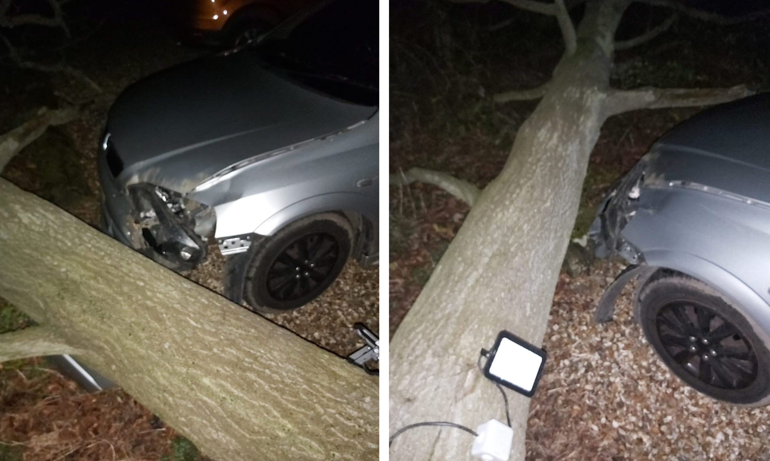 The tree crashed down on to their car during Storm Dennis.