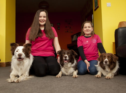 Sisters Sophia(13)(left) and Jessica Herald are to compete with their dogs in the young kennel club flyball at Crufts Their three dogs from the same litter called Yoda, Eclipse and Whim.