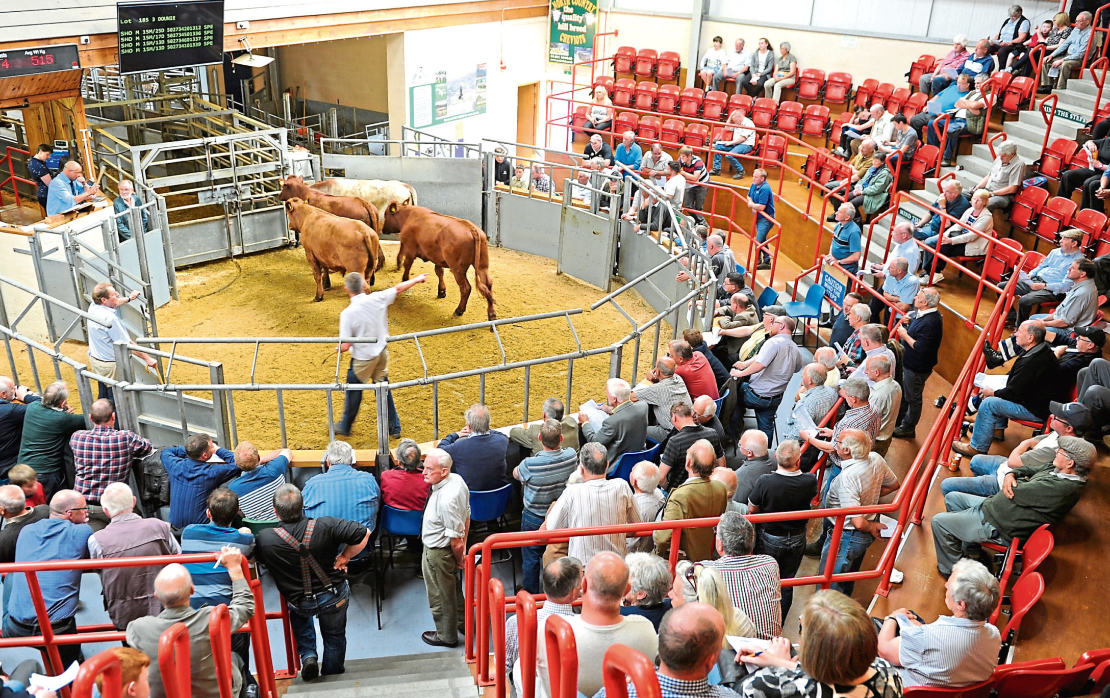 Scotland’s livestock marts insist it is business as usual – unless government advice changes .