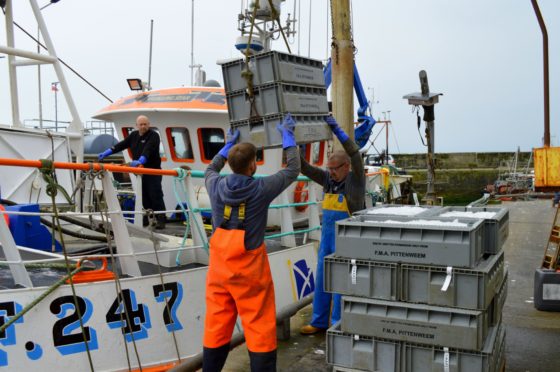 A fishing boat unloads its catch of prawns destined for Spain.