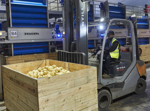 Farmers and processors are trying to cope with  a spike in demand for potatoes.