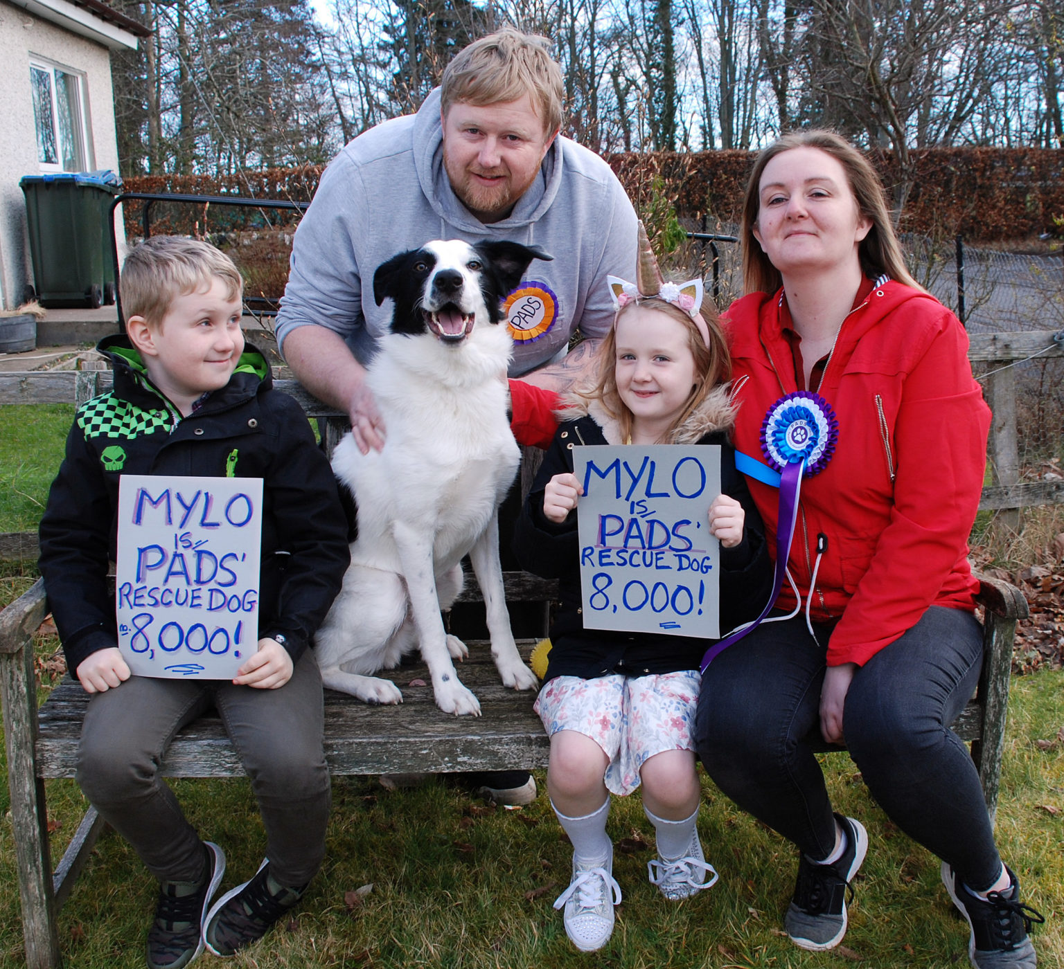 Perthshire kennel rehomes 8,000th dog in 30th anniversary year