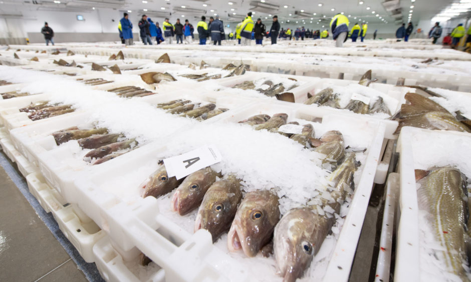 With fish markets unable to operate as usual, some merchants are taking their produce on the road.