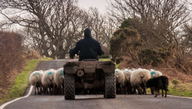 Farmers are often one-man operations and only they know the daily routine for feeding stock.