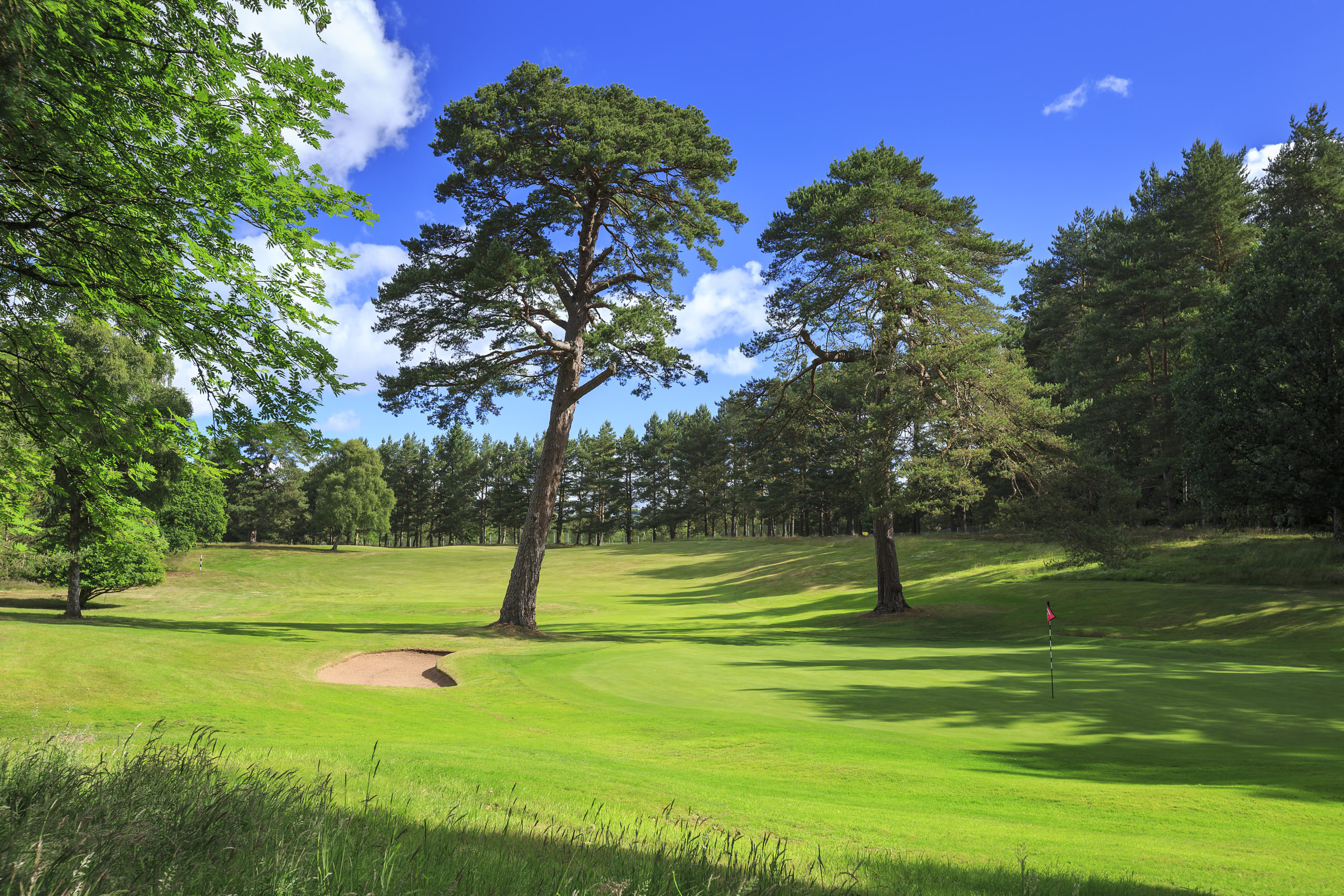 Blairgowrie Golf Club - Wee Course.