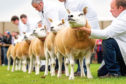 The Royal Highland Show  has been cancelled due to the coronavirus pandemic.