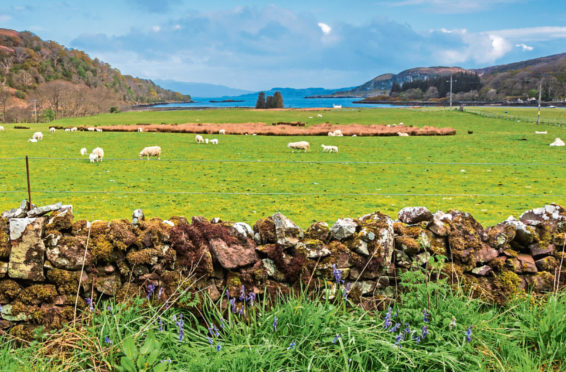 Stunning scenery has helped make agritourism successful in Scotland.