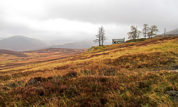 Creag-choinnich Lodge looking out over Glen Fender.