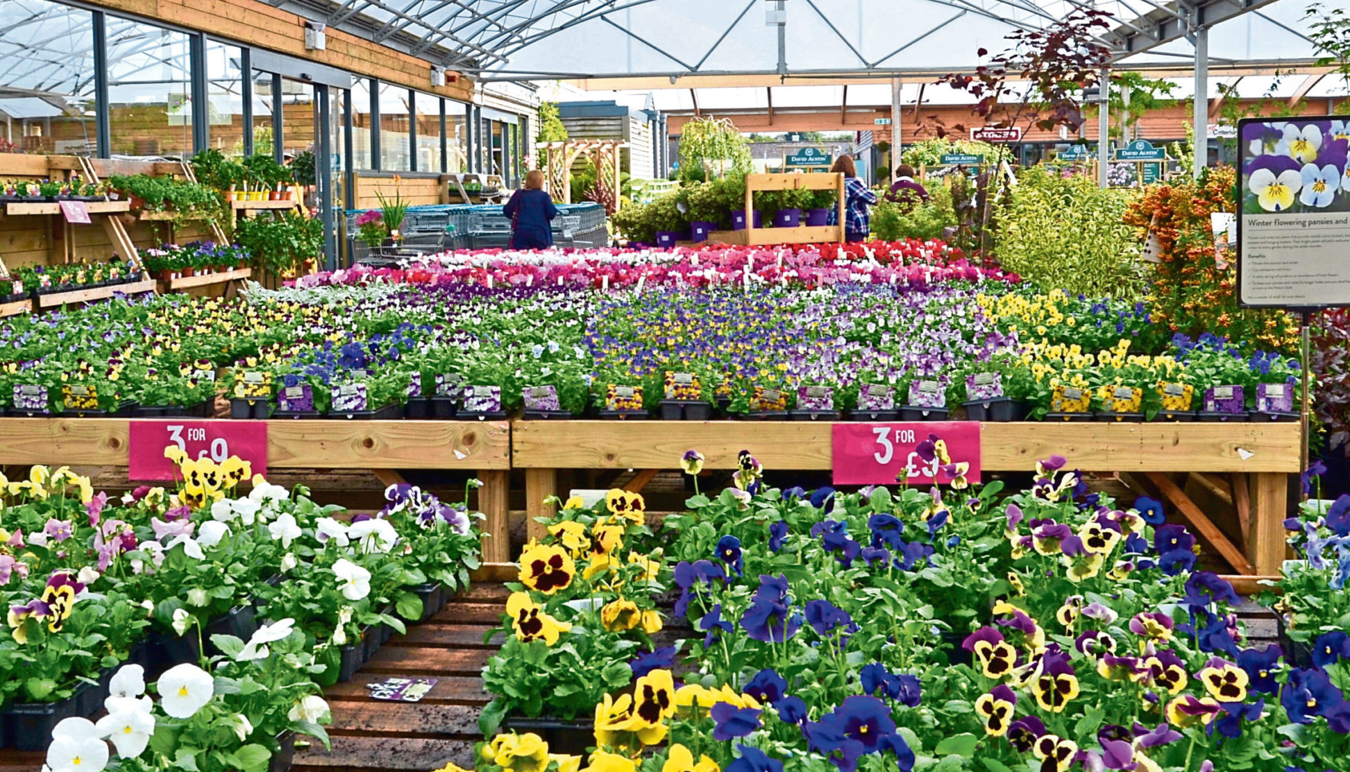 Garden centres like this one are to remain closed.