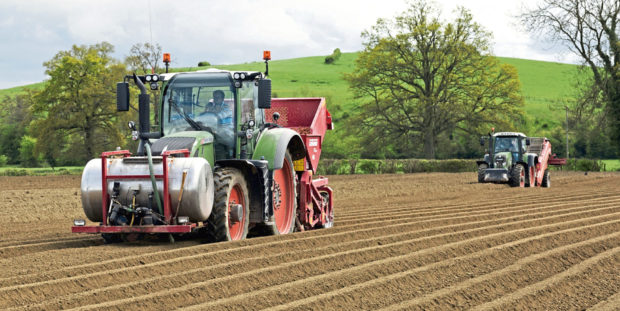 Growers hard at work planting potatoes