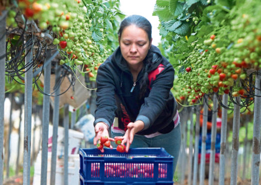 Farms are aware of their responsibilities when it comes to health and hygiene, insists the NFUS.