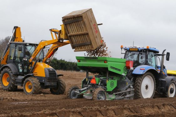 Farm work goes on while the agricultural industry adapts to the crisis.