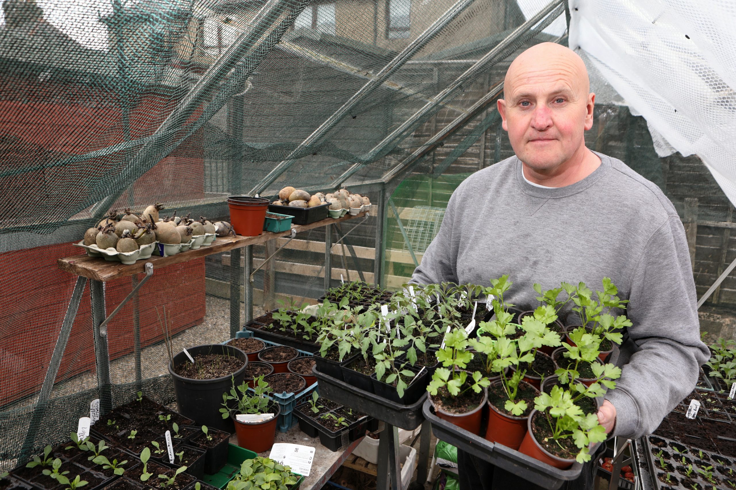 Forfar Horticultural Society chairman Dave Nelson in his greenhouse.