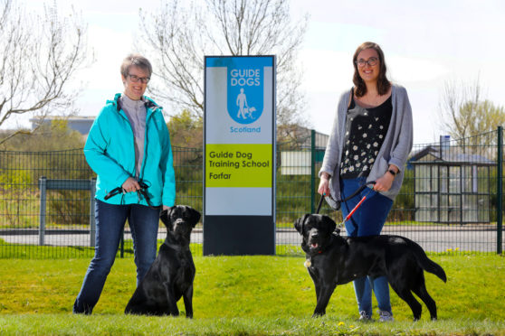 Lesley Haynes with Oasis and daughter Katherine with Tudor are part of the boardin.g out group during Covid-19 lockdown