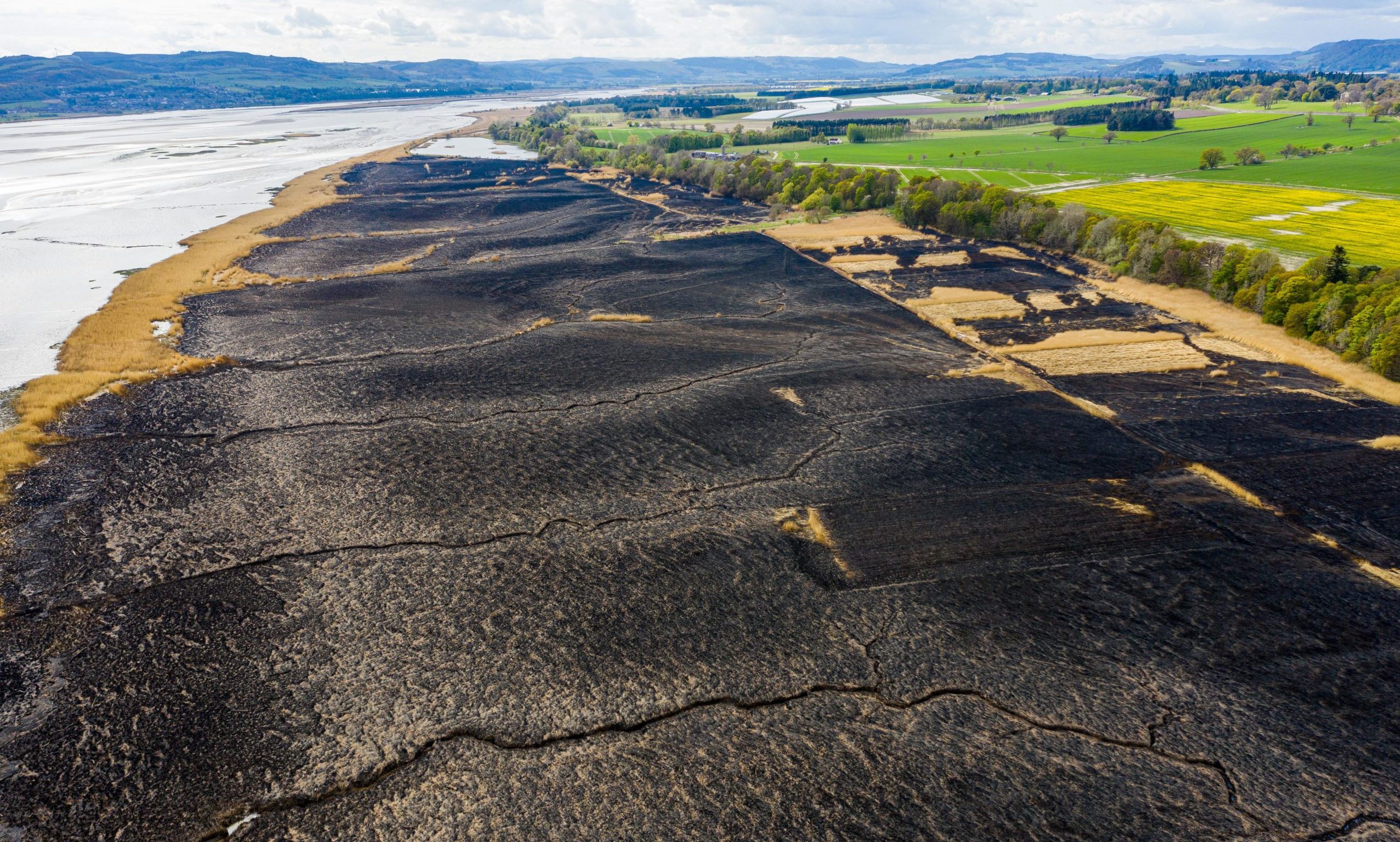 Photos showing the scale of the damage to the River Tay reed beds at Errol.