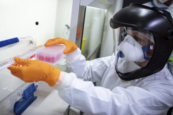 A research assistant holding coronavirus test samples.