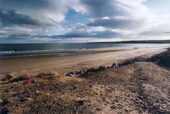 Montrose beach