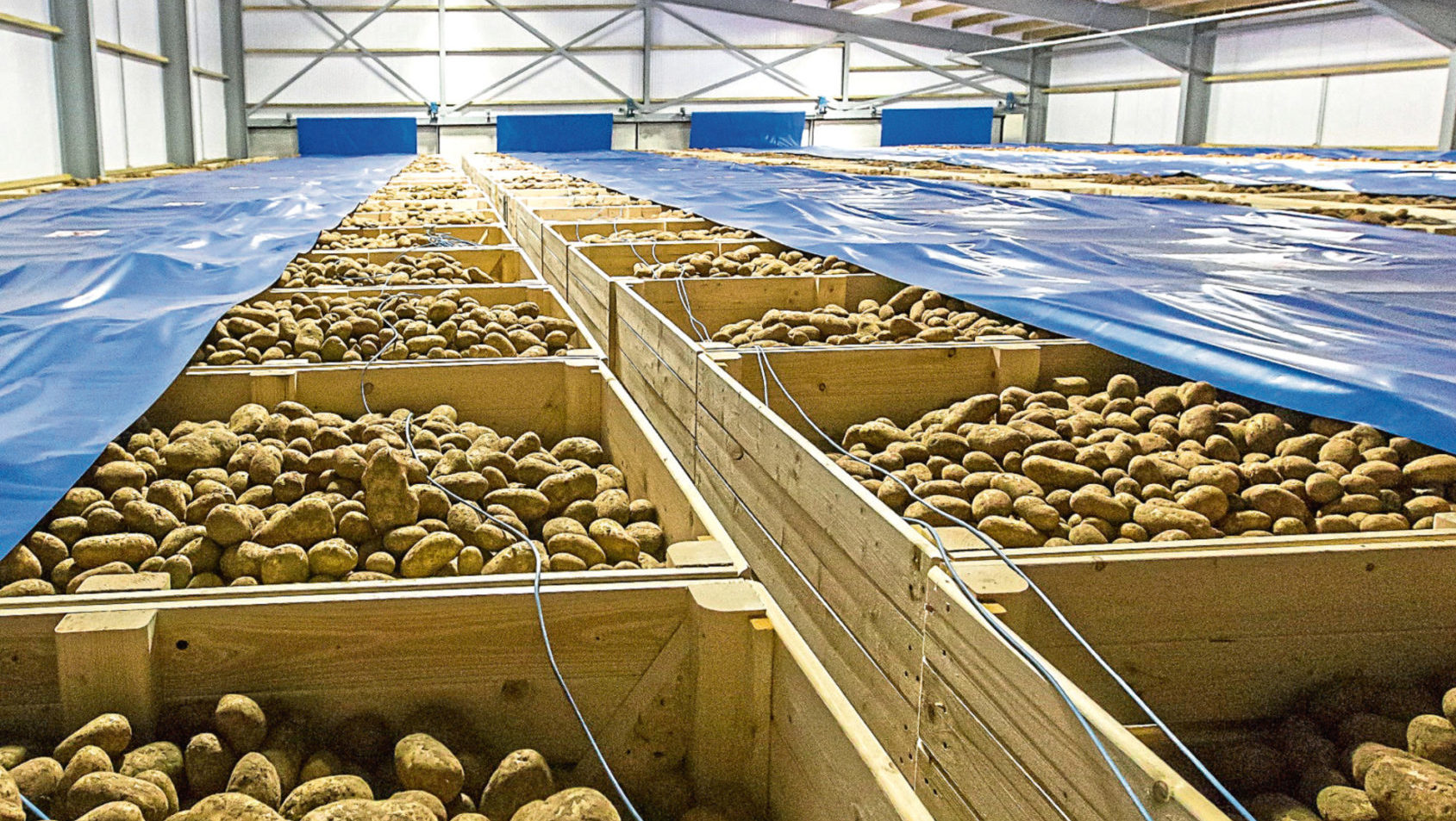 The versatility and value of potatoes will be highlighted in the campaign by AHDB.
