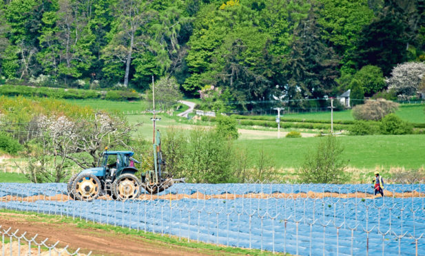 Farmers want to know what the future farm payment model will look like.