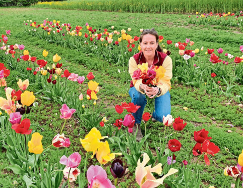 Kym McWillian of Haughhead Farm with pick-your-own flowers