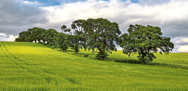 Weather conditions  have caused problems for arable farmers.