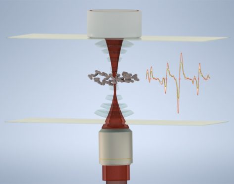 Living bacteria are confined by the force of sound in the centre of a small chamber only a 1/0 of a millimetre wide. The surrounding liquid can be changed at will. Light scattering gives a Raman signal (an optical fingerprint) from the bacteria which are seen in the graphs. This data allows scientists to monitor key changes in the bacteria over a long period.