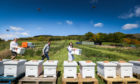 Beekeeper Meik Molitor, Managing Director Daniel Webster and Production Manager Emily-Kate McDonnell