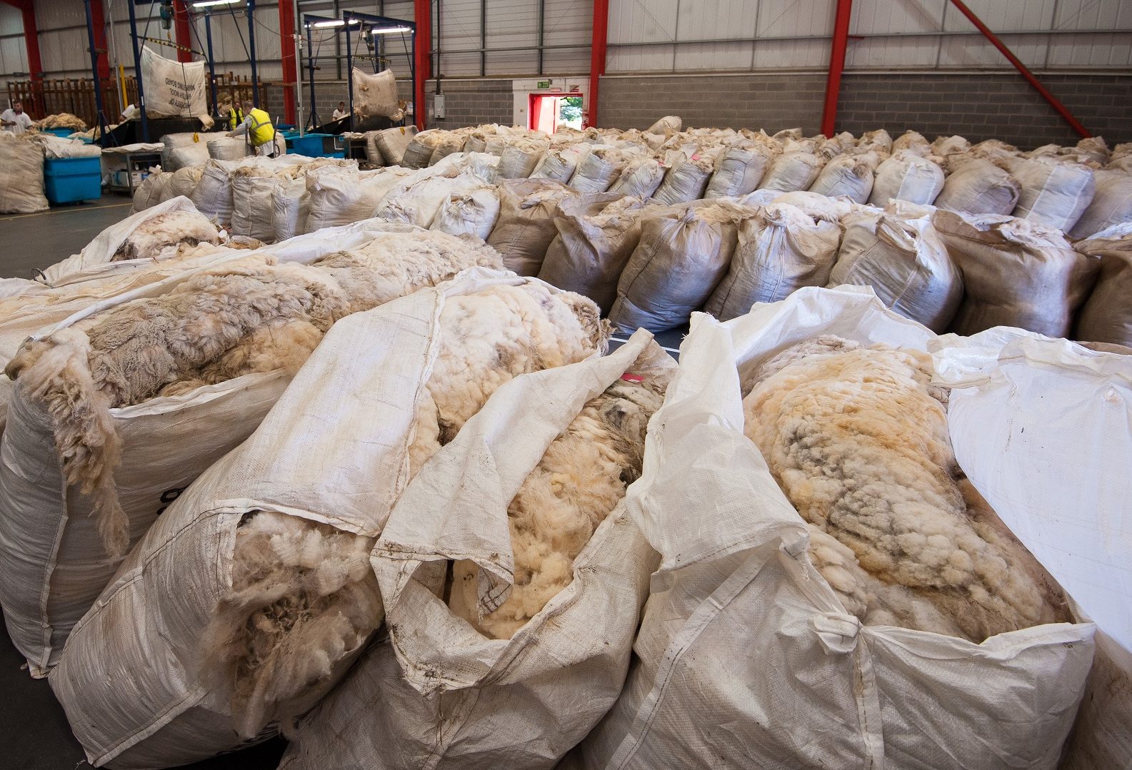 Bags of wool are building up at the British Wool depot, much of it unsold from 2019.