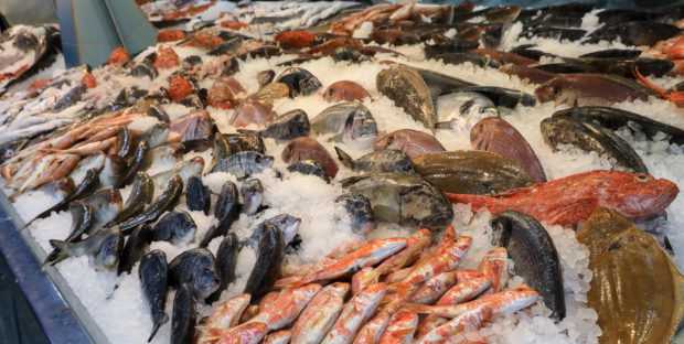 A selection of fish at a fishmonger in Scotland